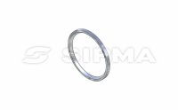 Pierścień uszczel. 215/250x16